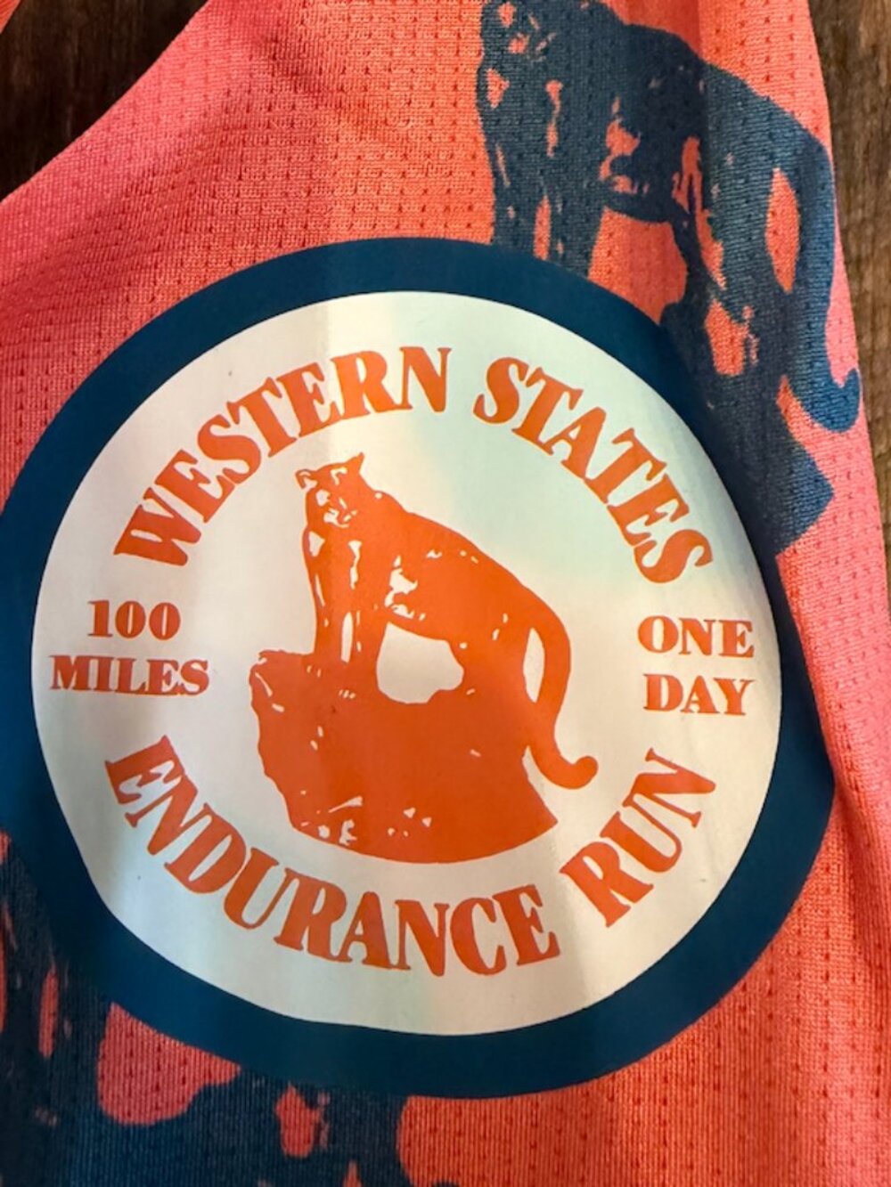 Rabbit Western States 100 Running Tank - Orange/Blue - Hoka - Size Large